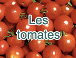 Les tomates