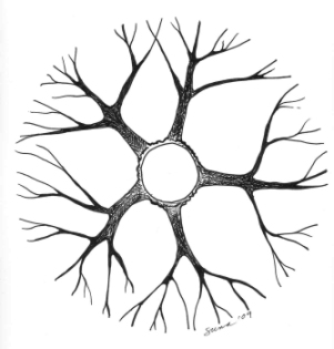 Fig. 11 - Top view of the ideal structure