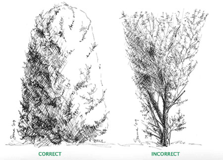 Figure 18 - Pruning a formal hedge