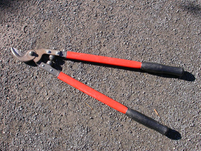 Long-handled pruner  ; � Pascale Maynard, Jardin botanique de Montr�al
