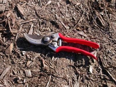 Hand secateur; � Pascale Maynard, Jardin botanique de Montr�al