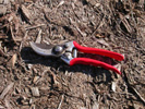 Hand secateur; � Pascale Maynard, Jardin botanique de Montr�al