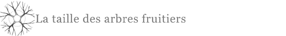 La taille des arbres fruitiers