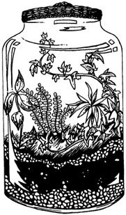 Terrarium