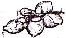 Tuber