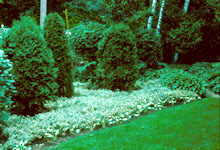 Vue générale Jardin alpin JBM - Daniel Fortin