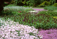 Alpin Garden - JBM, Photo by Marie-Claude Vallerand