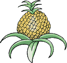 Ananas en fruit