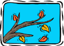 Les arbres feuillus perdent leurs feuilles en automne