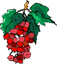 Les framboises sont des petits fruits