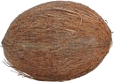 La noix de coco est l'une sinon la plus grande graine