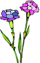 Oeillets color�s