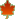 Plante feuillue