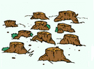 Il ne faut pas que la for&ecirc;t soit d&eacute;truite