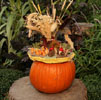 Pumpkin 3