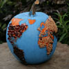 Pumpkin 7