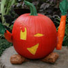 Pumpkin 8
