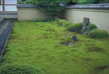 Koto-in moss garden, Kyoto. Photo : Claude Gagné