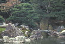 Trees sculpting the landscape of the Nijo-jo garden, Kyoto. Photo : Louis Rinfret