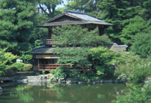 Le jardin Ninomaru,  Kyto. Photo : Claude Gagn