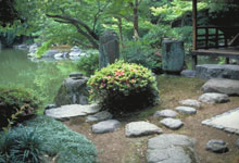 Ninomaru garden, Kyoto. Photo : Claude Gagné
