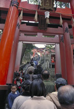 Entrance to a Shinto temple, Kyoto. Photo : Sophie Lambert