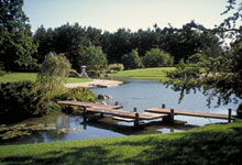 The Japanese Garden