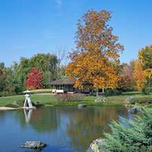 The Japanese Garden and the Lookout