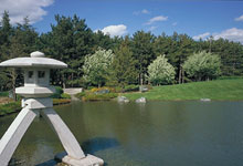 Le jardin japonais et la lanterne