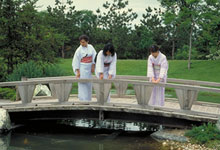 Bridge