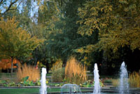 Le Jardin aquatique du Jardin botanique de Montr&eacute;al &agrave; l'automne / Photo Michel Tremblay