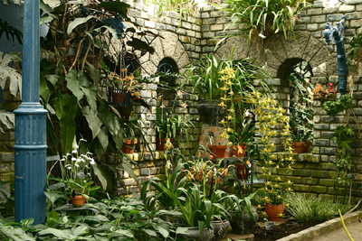 Orchids and Aroids Conservatory