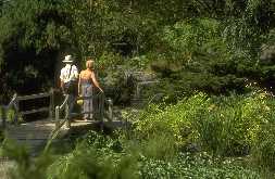 Jardin alpin