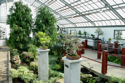 Garden of Weedlessness