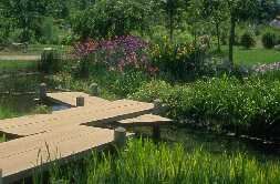 Jardin japonais
