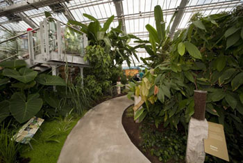 Tropical Food Plants Greenhouse; Photo: Michel Tremblay