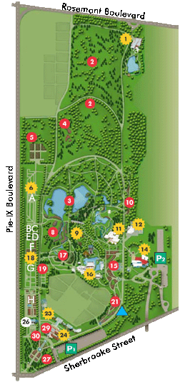 plan du jardin