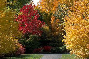 Promenade automnale au Jardin - photo Michel Tremblay