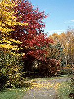 Promenade automnale - Photo Raymond Gagnon