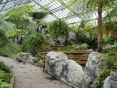 Ferns Conservatory