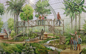 Tropical Food Plants Greenhouse's original drawing