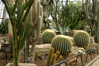 Arid Regions Conservatory