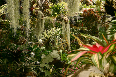 Tropical Rainforests Conservatory