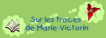 Sur les traces de Marie-Victorin