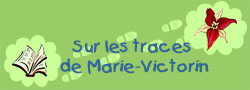 Sur les traces de Marie-Victorin