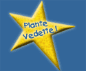 plante vedette