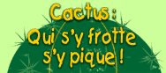 Cactus : qui s'y frotte s'y pique!