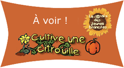 Cultive une citrouille