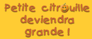 Petite citrouille deviendra grande!
