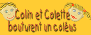 Colin et Colette bouturent un col�us